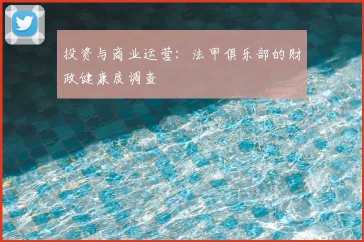 投资与商业运营：法甲俱乐部的财政健康度调查