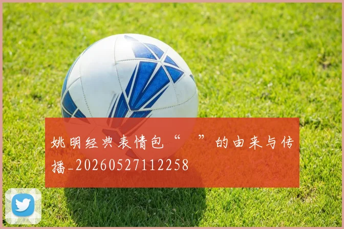 姚明经典表情包“囧”的由来与传播_20260527112258