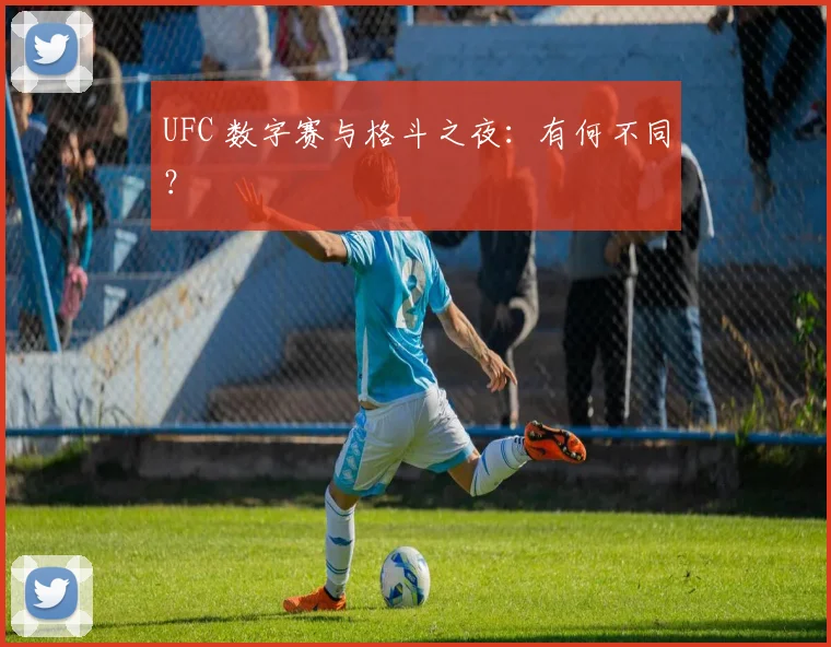 UFC 数字赛与格斗之夜:有何不同?